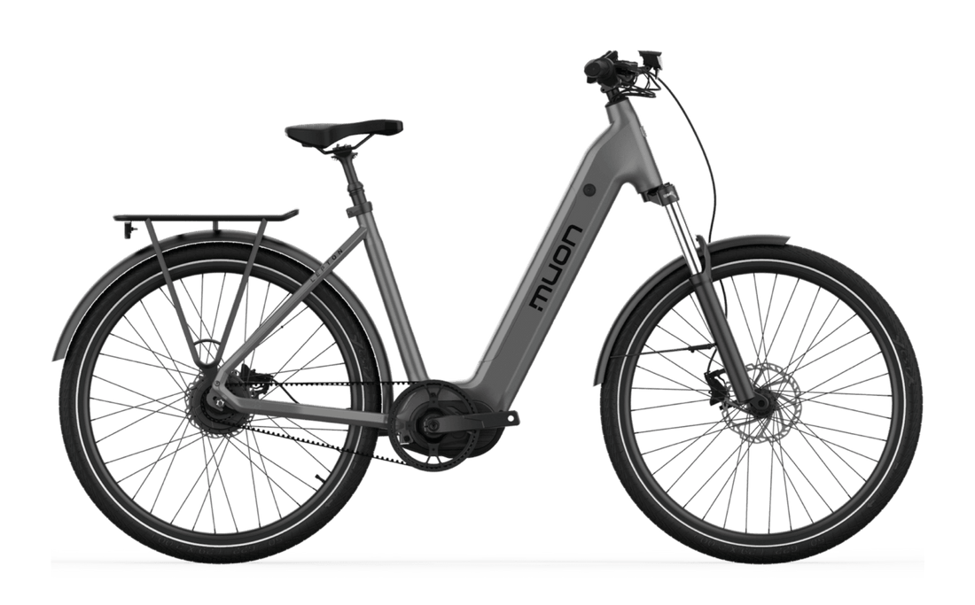 Lepton - VANPOWERS LTD