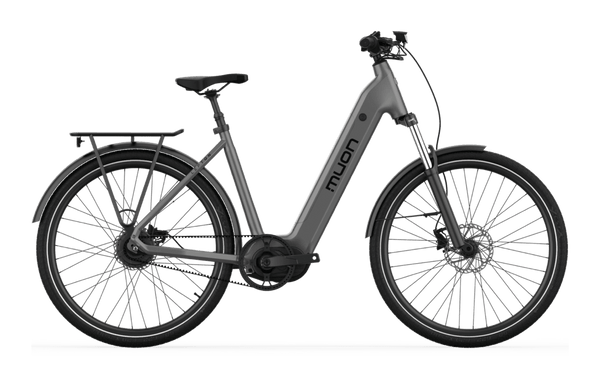 <tc>Muon Lepton</tc>