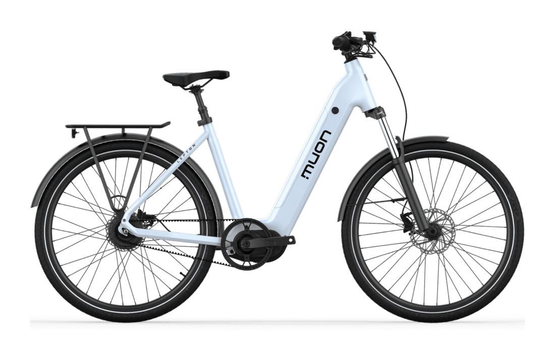 Lepton - VANPOWERS LTD