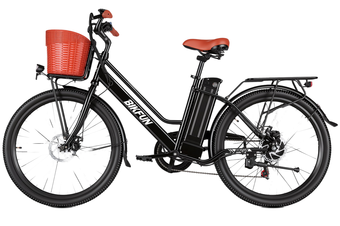 Bikfun Ruka Low Step-Through City Electric Bike
