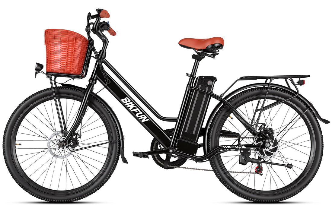 Bikfun Ruka Low Step-Through City Electric Bike