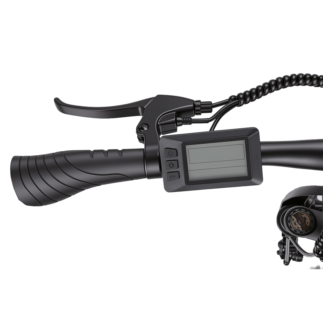 Bikfun Leni Mountain Electric Bike