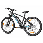 Bikfun Leni Mountain Electric Bike