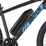 Bikfun Leni Mountain Electric Bike