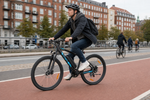 Bikfun Leni Mountain Electric Bike