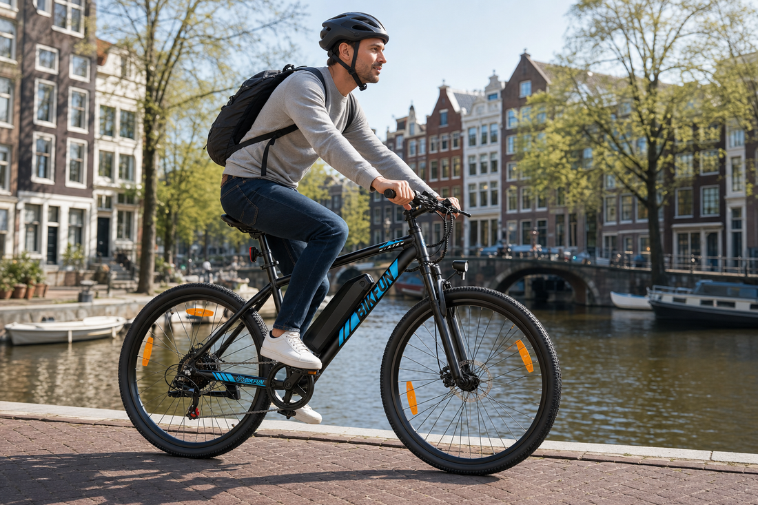 Bikfun Leni Mountain Electric Bike