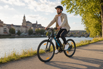 Bikfun Leni Mountain Electric Bike
