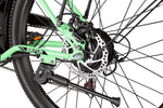 Bikfun Ruka Low Step-Through City Electric Bike