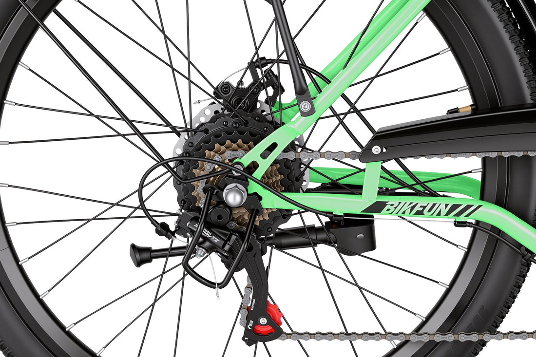 Bikfun Ruka Low Step-Through City Electric Bike