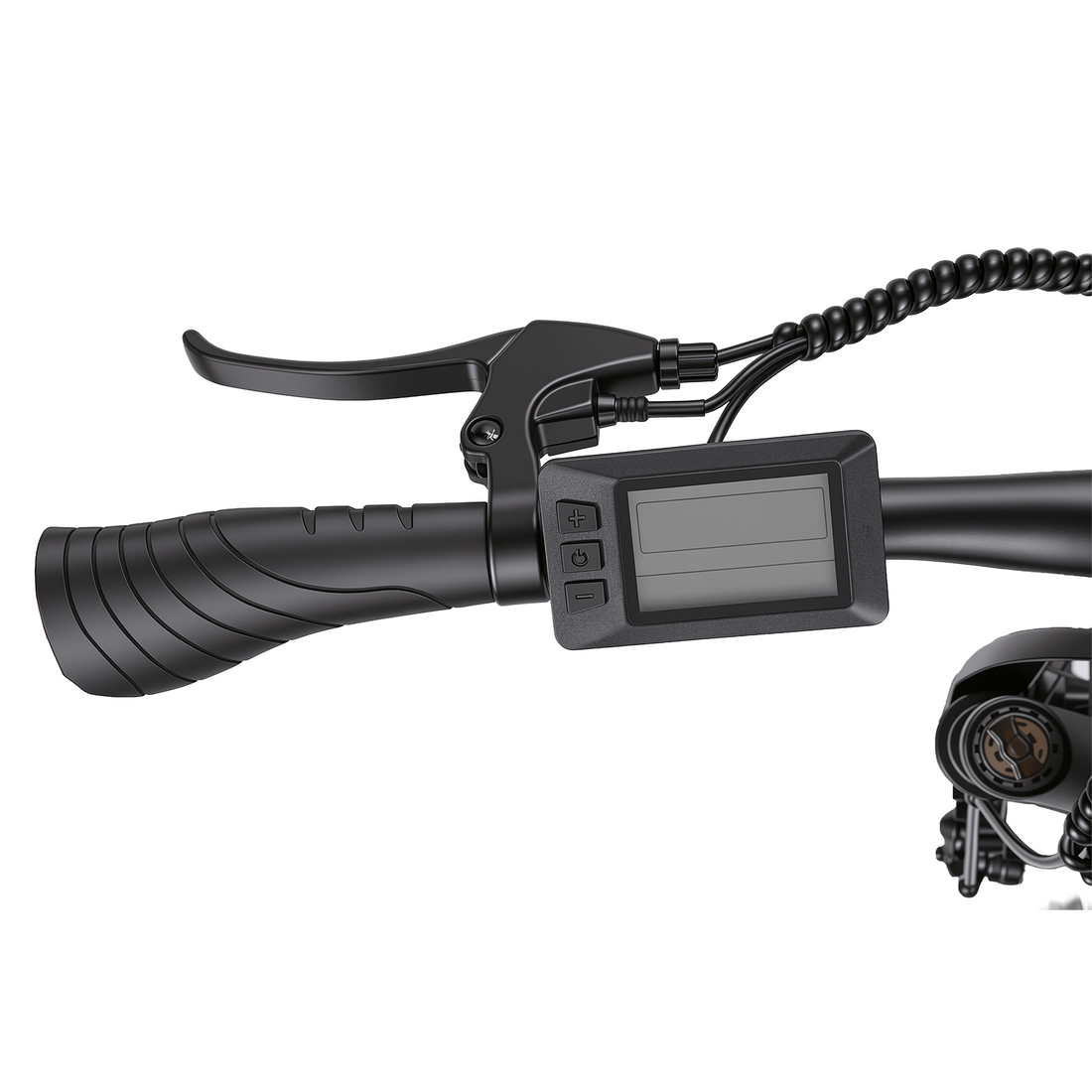 Bikfun Leni Mountain Electric Bike