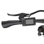 Bikfun Leni Mountain Electric Bike