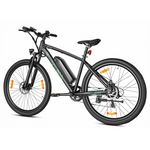 Bikfun Leni Mountain Electric Bike