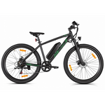 Bikfun Leni Mountain Electric Bike