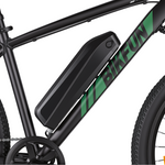 Bikfun Leni Mountain Electric Bike