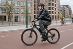 Bikfun Leni Mountain Electric Bike