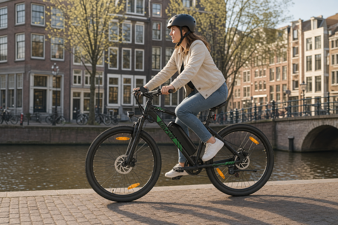 Bikfun Leni Mountain Electric Bike