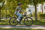 Bikfun Leni Mountain Electric Bike