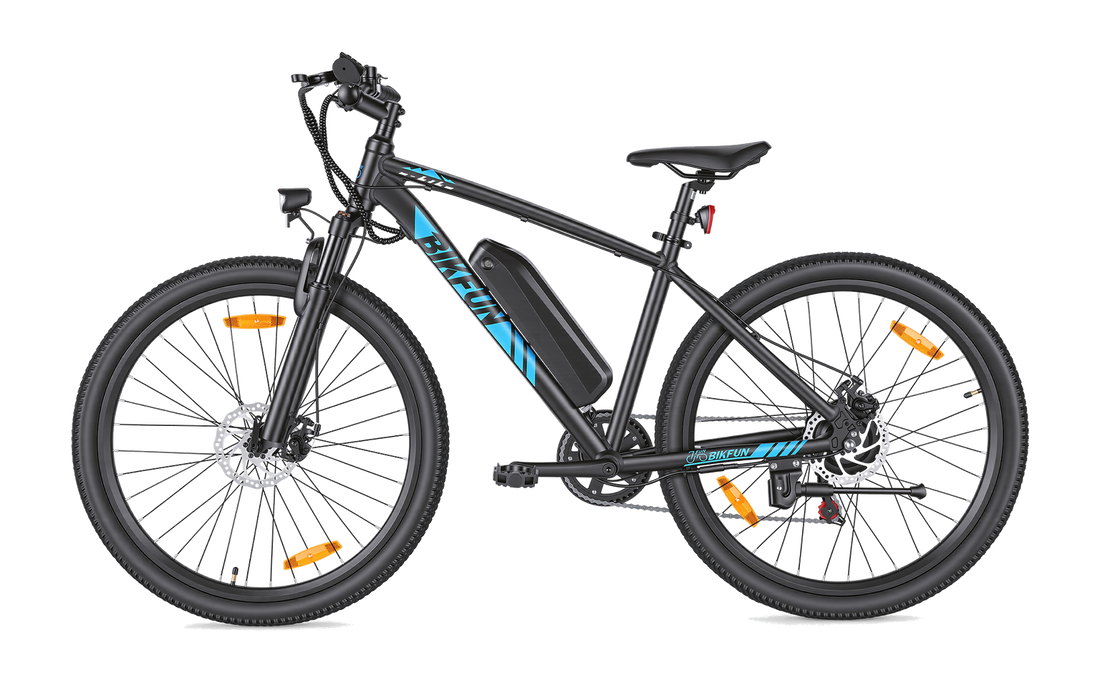 Bikfun Leni Mountain Elektrofahrrad