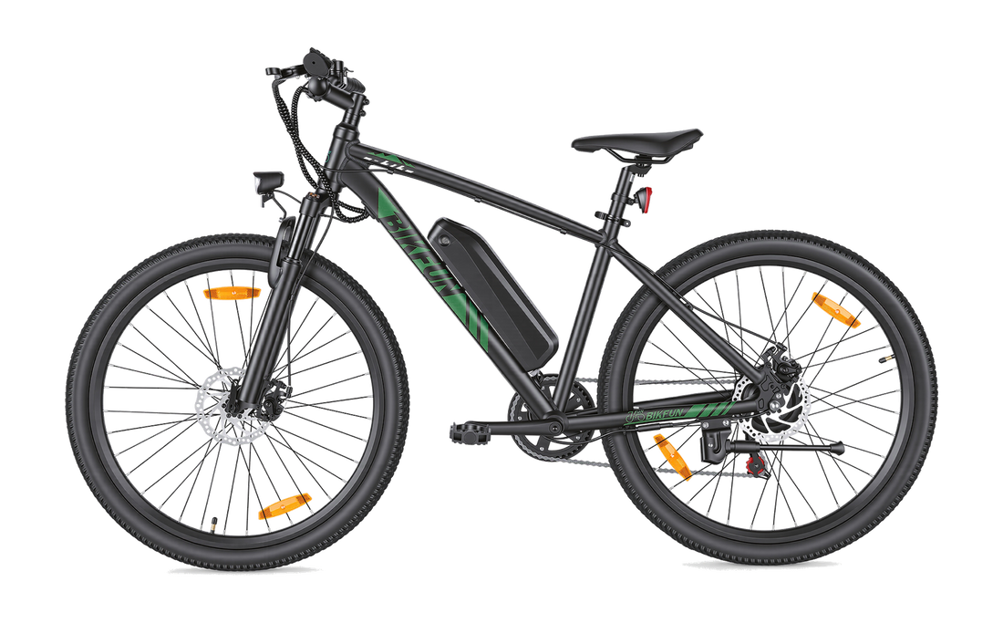 Bikfun Leni Mountain Elektrofahrrad