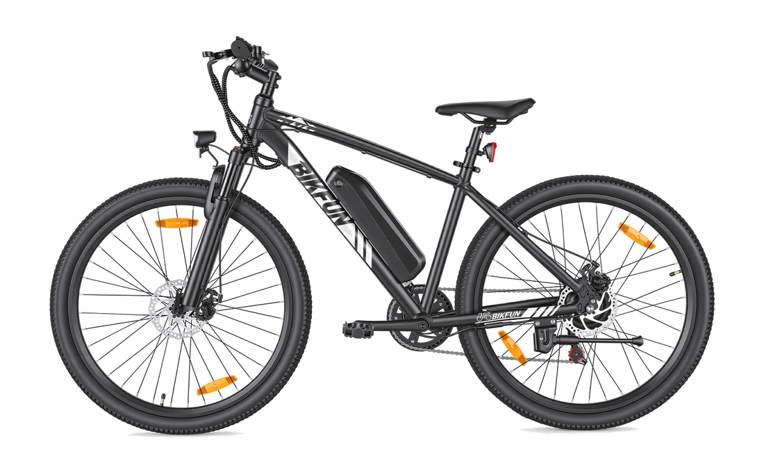 Bikfun Leni Mountain Elektrofahrrad