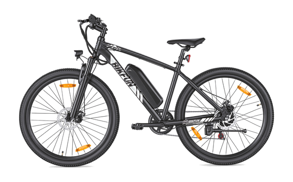 Bikfun Leni Mountain Elektrofahrrad