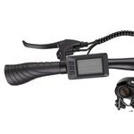Bikfun Leni Mountain Electric Bike