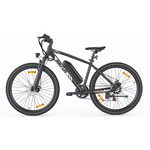 Bikfun Leni Mountain Electric Bike