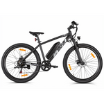 Bikfun Leni Mountain Electric Bike