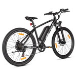 Bikfun Leni Mountain Electric Bike