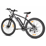 Bikfun Leni Mountain Electric Bike