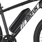 Bikfun Leni Mountain Electric Bike