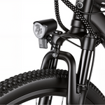 Bikfun Leni Mountain Electric Bike