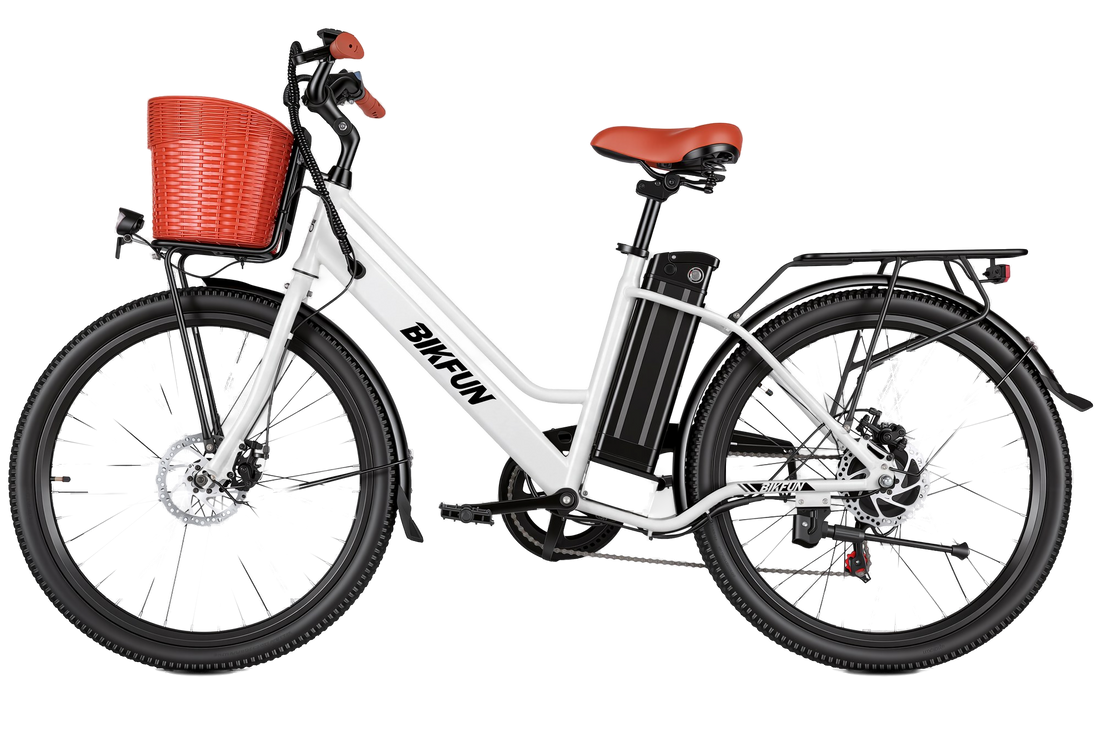Bikfun Ruka Low Step-Through City Electric Bike