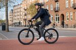 Bikfun Leni Mountain Electric Bike