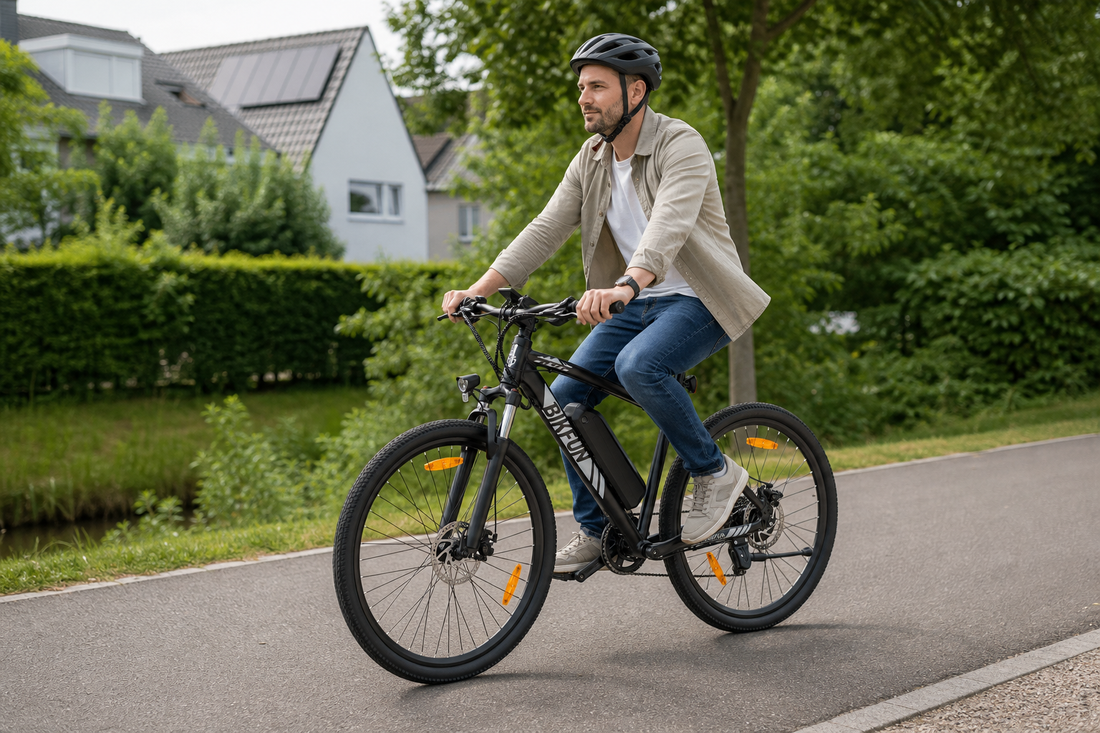 Bikfun Leni Mountain Electric Bike