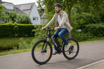 Bikfun Leni Mountain Electric Bike