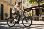Bikfun Leni Mountain Electric Bike
