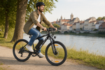 Bikfun Leni Mountain Electric Bike